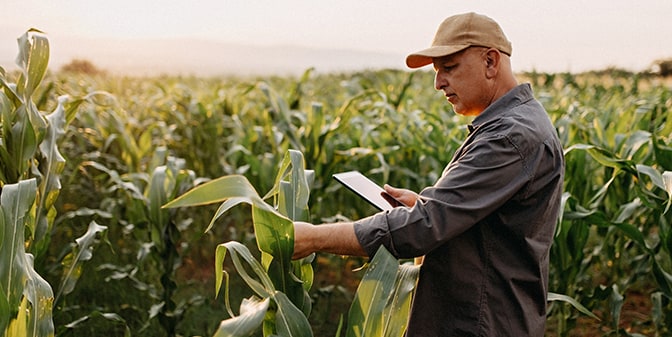 Climate FieldView