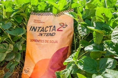 Plataforma Intacta2 Xtend