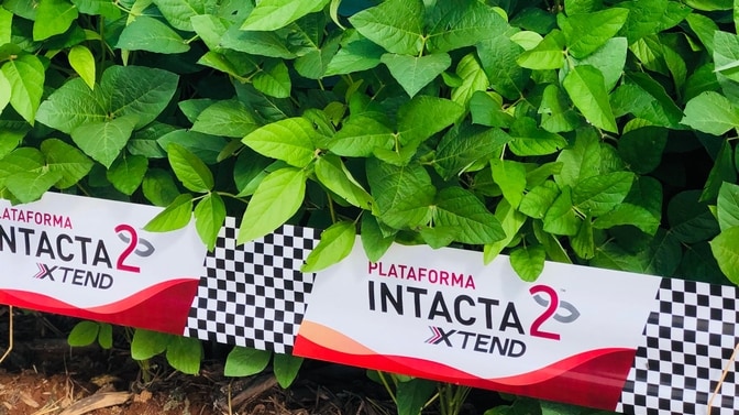 Plataforma intacta 2Xtend