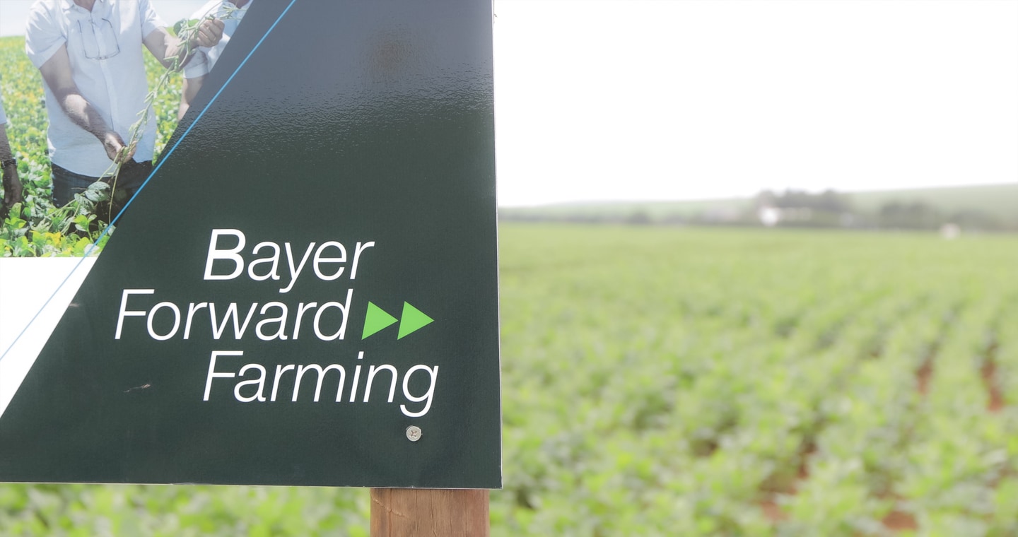 Programa agricultura sustentável Bayer completa 5 anos com novas fazendas modelo